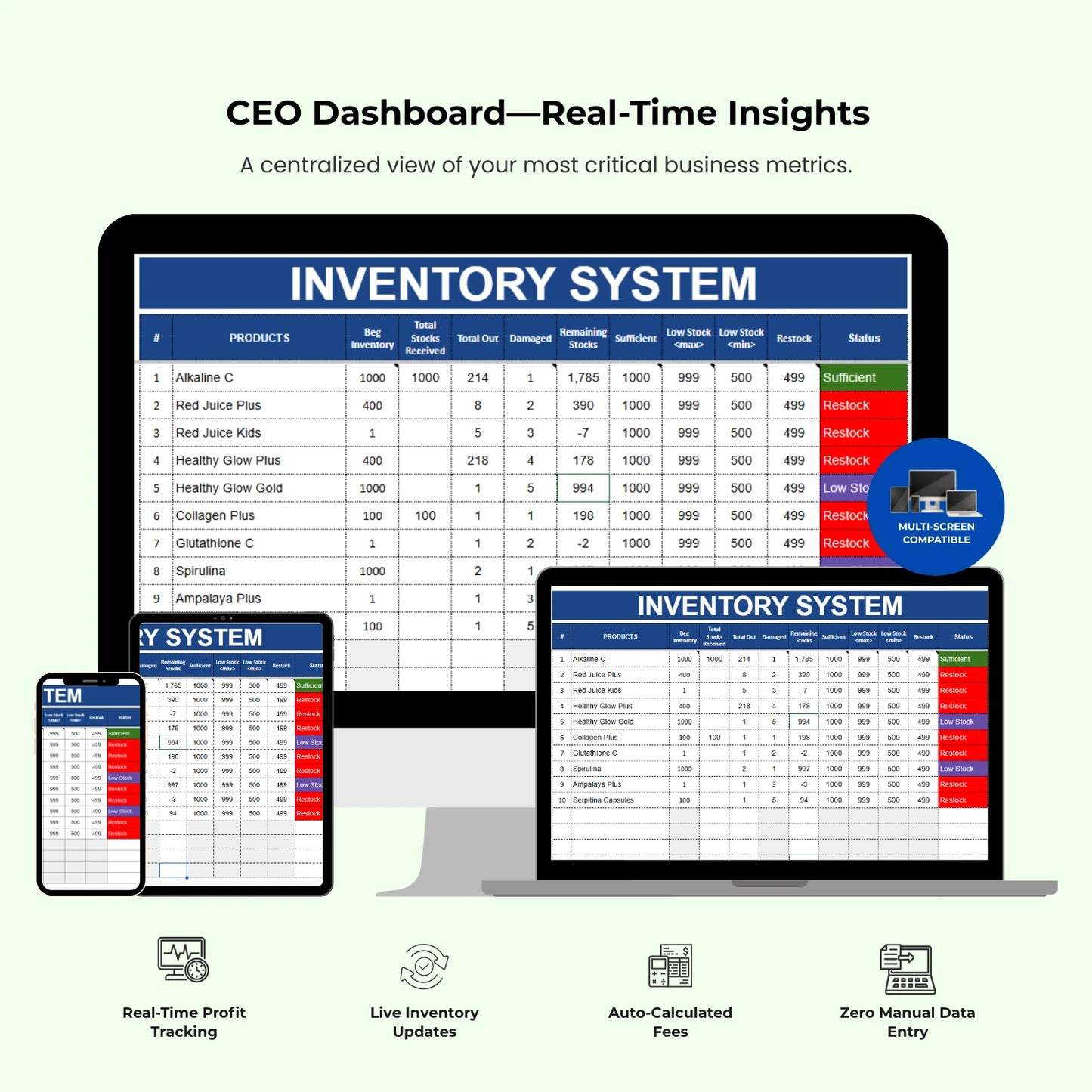 CEO Dashboard : See the Full Picture of Your Business — In One Dashboard