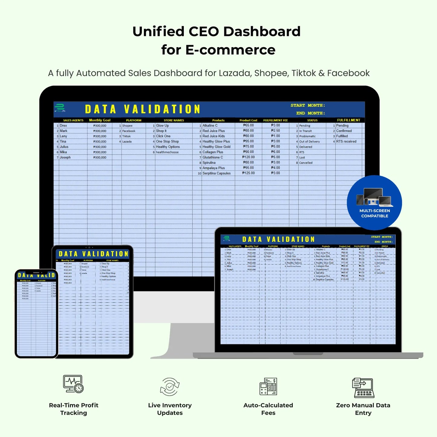 CEO Dashboard: Ecommerce Business Performance Dashboard