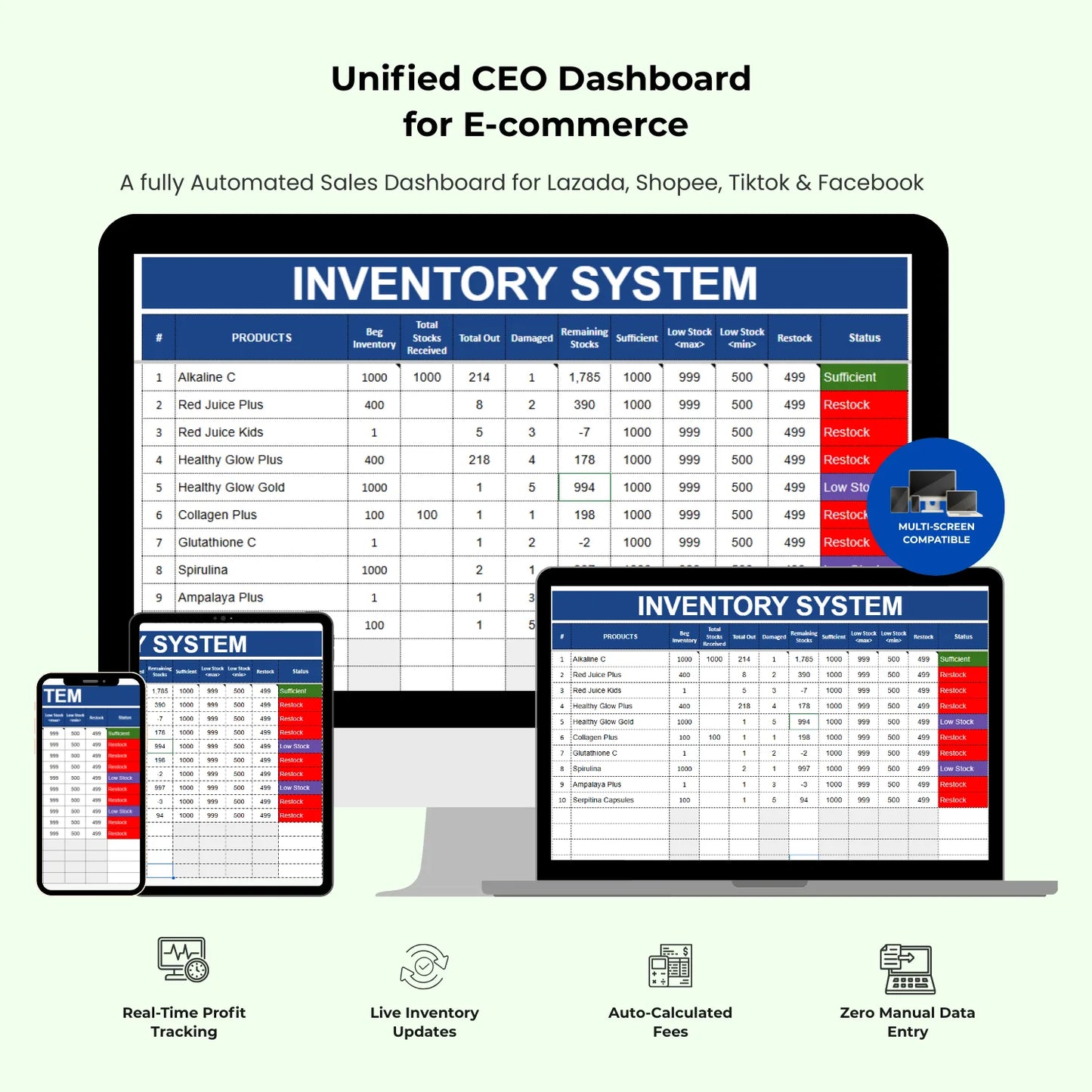 CEO Dashboard: Ecommerce Business Performance Dashboard